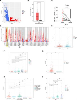 Prognostic value of COL10A1 and its correlation with tumor-infiltrating immune cells in urothelial bladder cancer: A comprehensive study based on bioinformatics and clinical analysis validation
